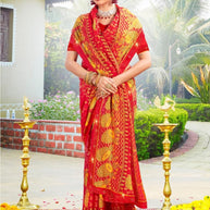 Trendy Printed Saree with Blouse Piece for Women’s Ethnic Wardrobe | PRM-BREZZA