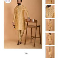 Premium Men's Kurta & Payjama for Wedding & Festive Wear | SNA-MKP11988