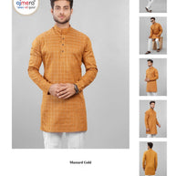 Premium Men's Kurta & Payjama for Wedding & Festive Wear | SNA-MKP11730