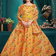 Designer Organza Gown for Women | PNC-2129