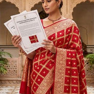 Handwork Heritage Saree with Blouse Piece for Premium Ethnic and Traditional Wear | ROOP-8449