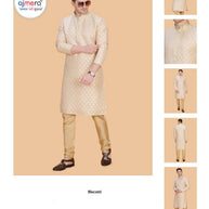 Premium Men's Kurta & Pajama for Wedding & Festive Wear | SNA-MKP12172
