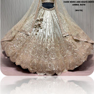 Viscose Jari Lehenga Manufacturer, Supplier & Wholesaler in India| ABF-ANMOL RATAN