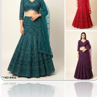 Designer Net Gown for Women | SDO-8402